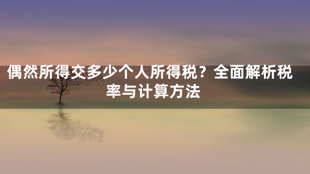 偶然所得交多少个人所得税？全面解析税率与计算方法