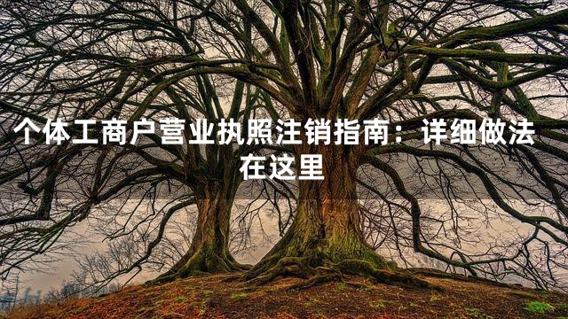 个体工商户营业执照注销指南：详细做法在这里