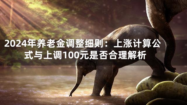 2024年养老金调整细则：上涨计算公式与上调100元是否合理解析