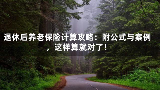 退休后养老保险计算攻略：附公式与案例，这样算就对了！