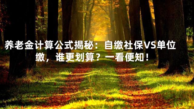 养老金计算公式揭秘：自缴社保VS单位缴，谁更划算？一看便知！