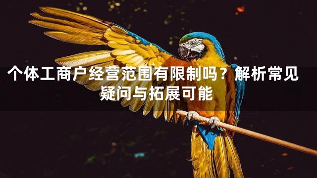 个体工商户经营范围有限制吗？解析常见疑问与拓展可能