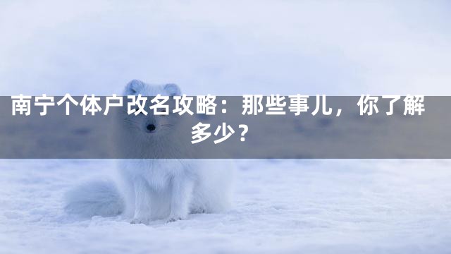 南宁个体户改名攻略：那些事儿，你了解多少？