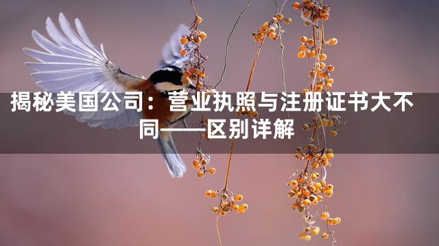 揭秘美国公司：营业执照与注册证书大不同——区别详解