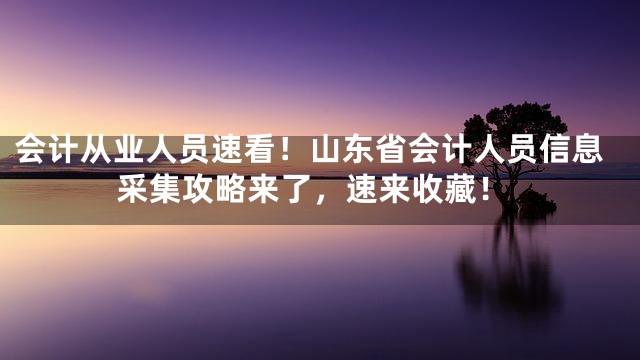 会计从业人员速看！山东省会计人员信息采集攻略来了，速来收藏！