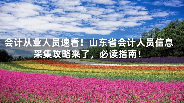 会计从业人员速看！山东省会计人员信息采集攻略来了，必读指南！