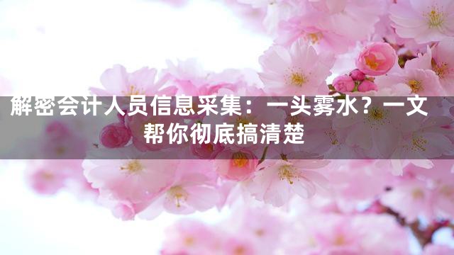 解密会计人员信息采集：一头雾水？一文帮你彻底搞清楚