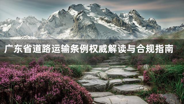 广东省道路运输条例权威解读与合规指南