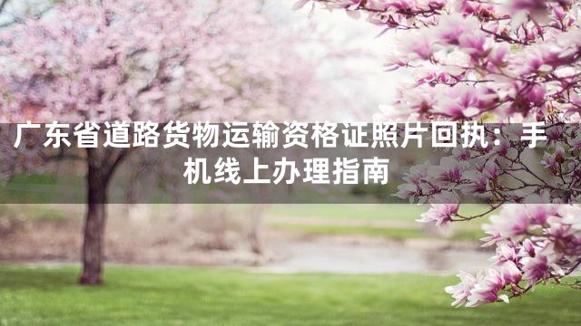广东省道路货物运输资格证照片回执：手机线上办理指南