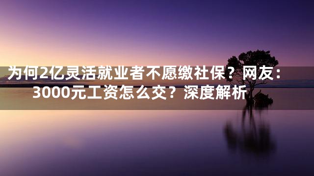 为何2亿灵活就业者不愿缴社保？网友：3000元工资怎么交？深度解析