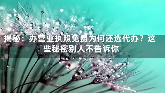 揭秘：办营业执照免费为何还选代办？这些秘密别人不告诉你