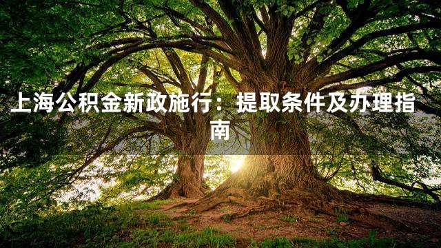 上海公积金新政施行：提取条件及办理指南