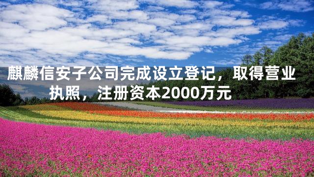 麒麟信安子公司完成设立登记，取得营业执照，注册资本2000万元