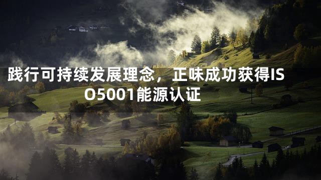 践行可持续发展理念，正味成功获得ISO5001能源认证