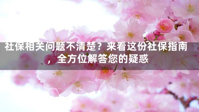 社保相关问题不清楚？来看这份社保指南，全方位解答您的疑惑