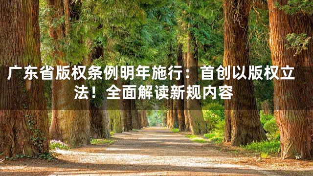 广东省版权条例明年施行：首创以版权立法！全面解读新规内容