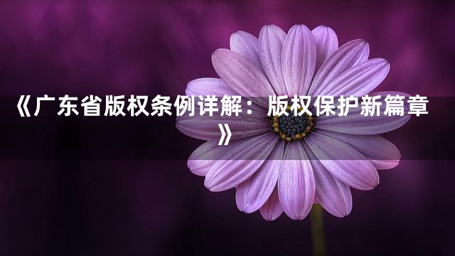 《广东省版权条例详解：版权保护新篇章》