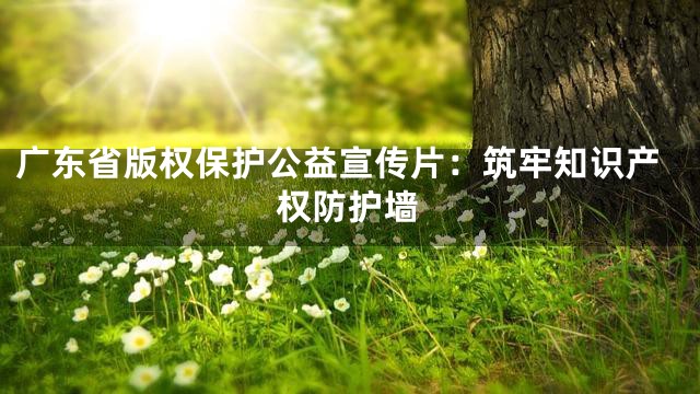 广东省版权保护公益宣传片：筑牢知识产权防护墙