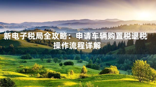 新电子税局全攻略：申请车辆购置税退税操作流程详解