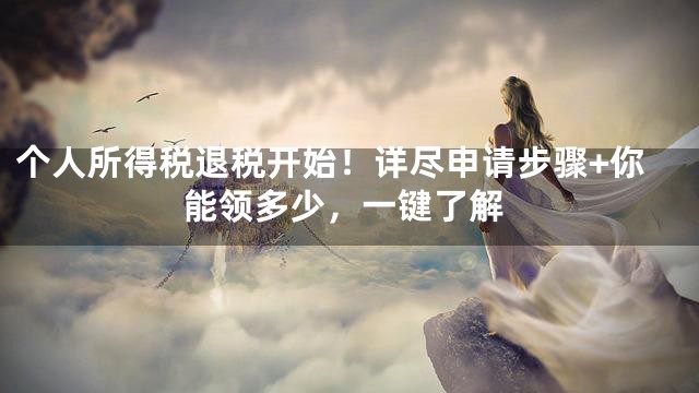 个人所得税退税开始！详尽申请步骤+你能领多少，一键了解