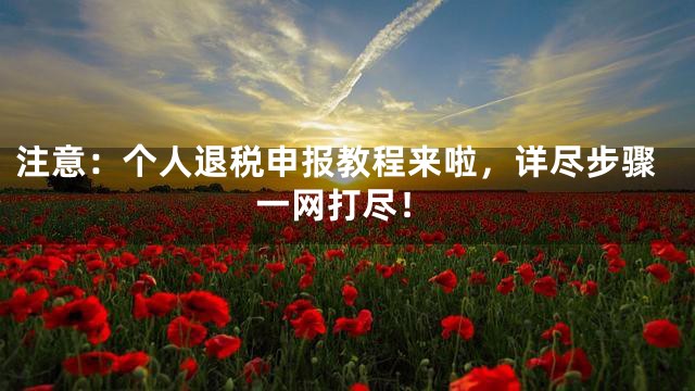 注意：个人退税申报教程来啦，详尽步骤一网打尽！