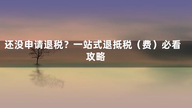 还没申请退税？一站式退抵税（费）必看攻略