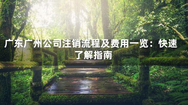 广东广州公司注销流程及费用一览：快速了解指南