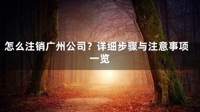 怎么注销广州公司？详细步骤与注意事项一览