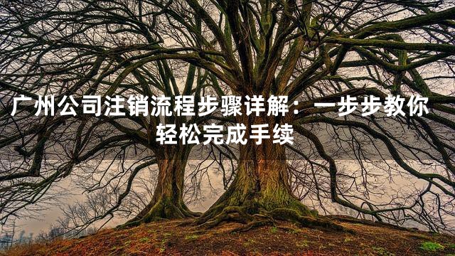 广州公司注销流程步骤详解：一步步教你轻松完成手续