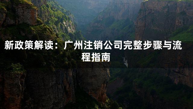 新政策解读：广州注销公司完整步骤与流程指南