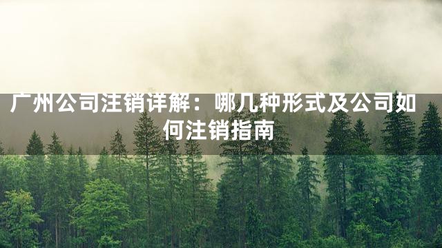 广州公司注销详解：哪几种形式及公司如何注销指南