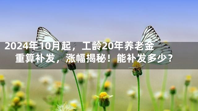 2024年10月起，工龄20年养老金重算补发，涨幅揭秘！能补发多少？