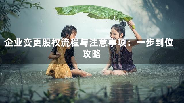企业变更股权流程与注意事项：一步到位攻略