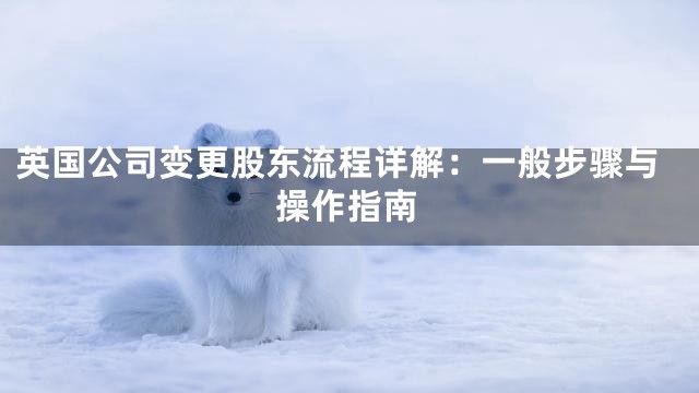 英国公司变更股东流程详解：一般步骤与操作指南