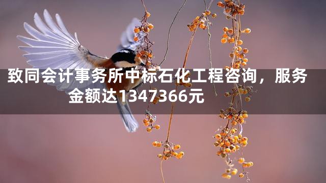 致同会计事务所中标石化工程咨询，服务金额达1347366元