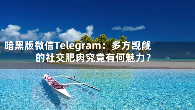 暗黑版微信Telegram：多方觊觎的社交肥肉究竟有何魅力？