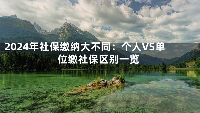 2024年社保缴纳大不同：个人VS单位缴社保区别一览