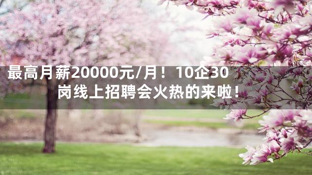 最高月薪20000元/月！10企30岗线上招聘会火热的来啦！