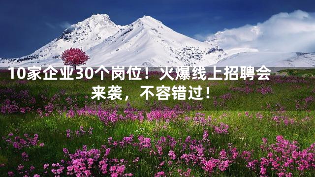 10家企业30个岗位！火爆线上招聘会来袭，不容错过！