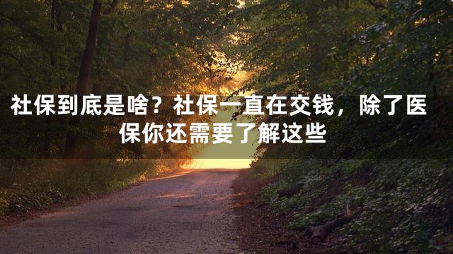 社保到底是啥？社保一直在交钱，除了医保你还需要了解这些