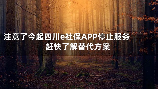 注意了今起四川e社保APP停止服务 赶快了解替代方案