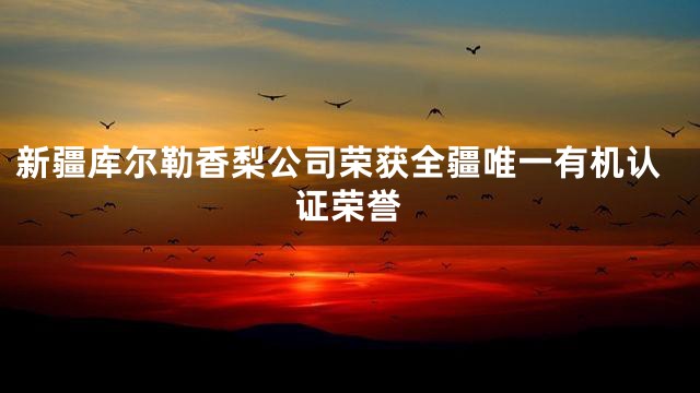 新疆库尔勒香梨公司荣获全疆唯一有机认证荣誉