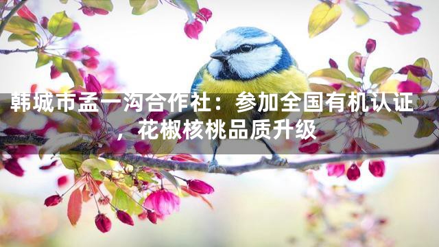 韩城市孟一沟合作社：参加全国有机认证，花椒核桃品质升级