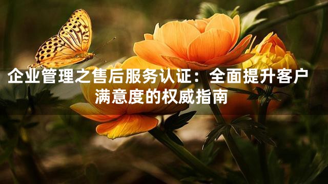 企业管理之售后服务认证：全面提升客户满意度的权威指南