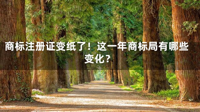 商标注册证变纸了！这一年商标局有哪些变化？