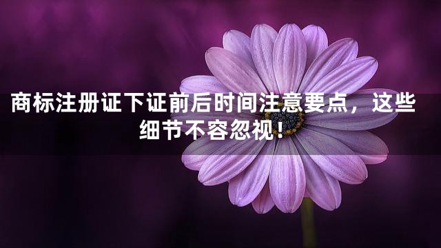 商标注册证下证前后时间注意要点，这些细节不容忽视！