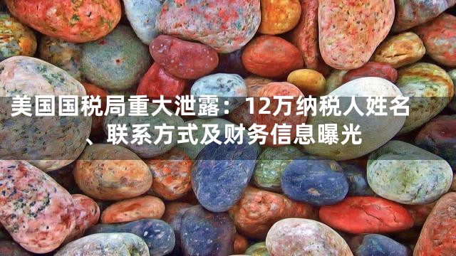 美国国税局重大泄露：12万纳税人姓名、联系方式及财务信息曝光