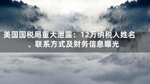 美国国税局重大泄露：12万纳税人姓名、联系方式及财务信息曝光