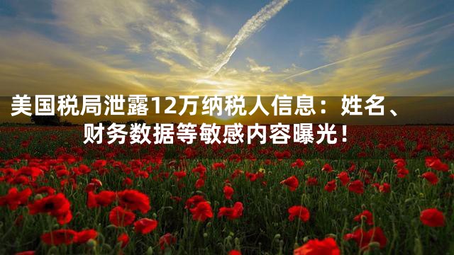 美国税局泄露12万纳税人信息：姓名、财务数据等敏感内容曝光！