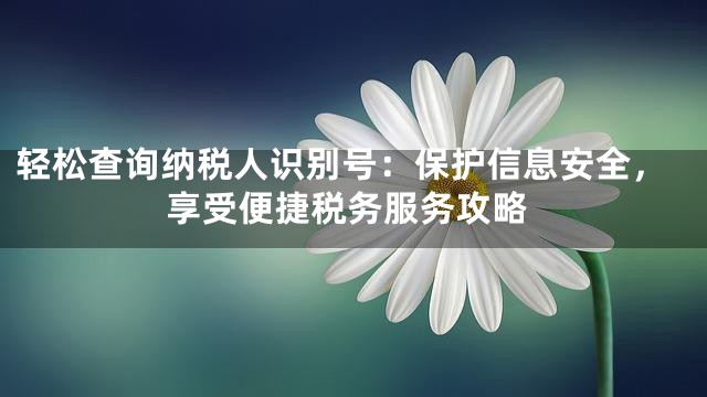 轻松查询纳税人识别号：保护信息安全，享受便捷税务服务攻略